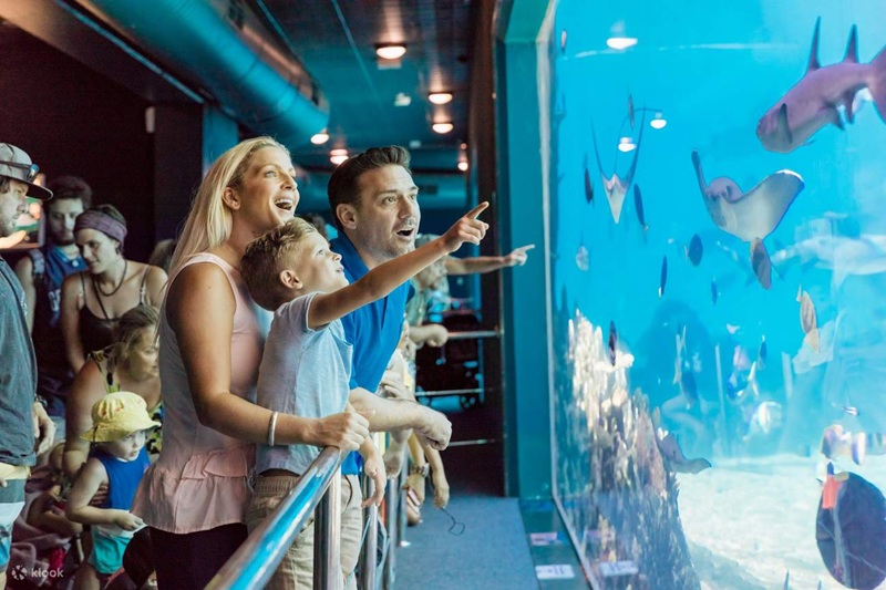 Du lịch gia đình Úc với bảo hiểm TravelCare Liberty